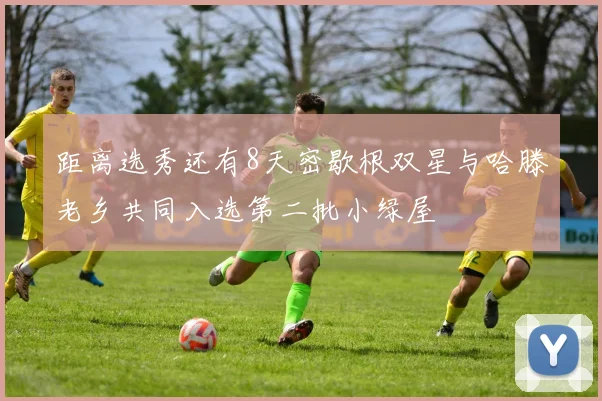 距离选秀还有8天密歇根双星与哈滕老乡共同入选第二批小绿屋